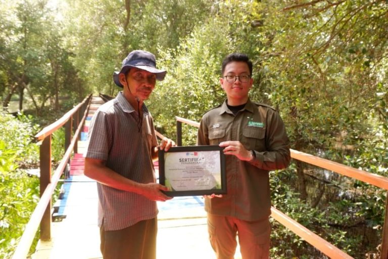 U-Green ITB, Richeese, dan Ekowisata Mangrove Karangsong Tanam Mangrove di Indramayu