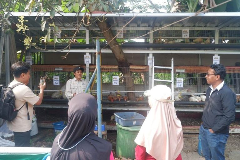ITB Libatkan Warga Pasirlayung, Kota Bandung Hasilkan Telur dan Pakan Alternatif dari Pengolahan Sampah Organik