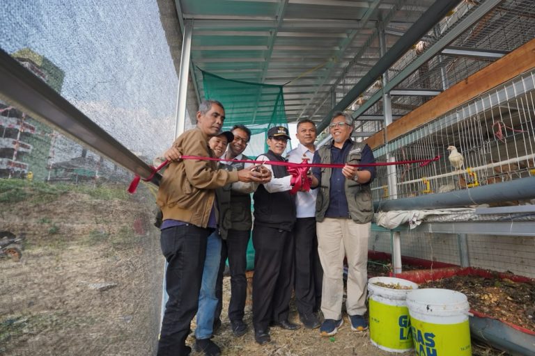 ITB Terapkan Inovasi ‘Apartemen Ayam-Maggot’ di Tamansari, Bandung, Dapat Olah 250 Kg Sampah Organik Sehari